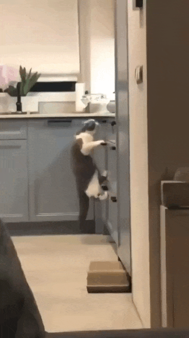 daily gifdump 47 gifs 5.html - 1 HD GIF | Premium Gallery 2026