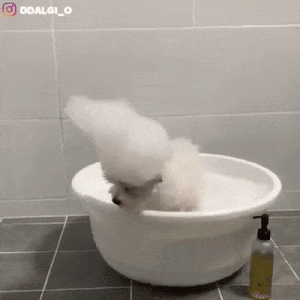 daily gifdump 47 gifs 5.html - 1 HD GIF | Premium Gallery 2026
