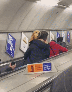 daily gifdump 47 gifs 5.html - 1 HD GIF | Premium Gallery 2026