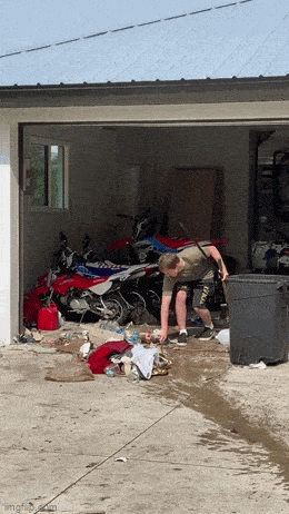 daily gifdump 47 gifs 5.html - 1 HD GIF | Premium Gallery 2026