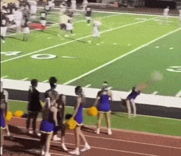 daily gifdump 47 gifs 5.html - 1 HD GIF | Premium Gallery 2026