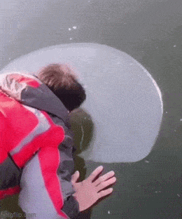 daily gifdump 47 gifs 5.html - 1 HD GIF | Premium Gallery 2026