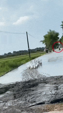 daily gifdump 47 gifs 5.html - 1 HD GIF | Premium Gallery 2026