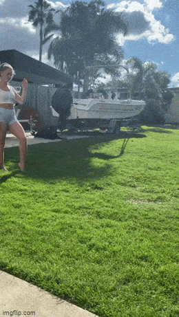 daily gifdump 47 gifs 5.html - 1 HD GIF | Premium Gallery 2026