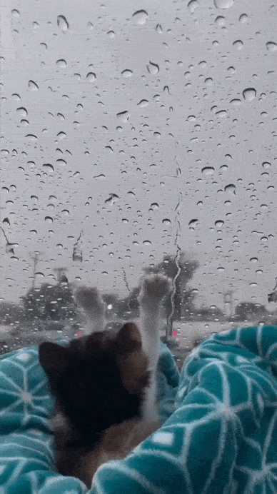 daily gifdump 47 gifs 5.html - 1 HD GIF | Premium Gallery 2026