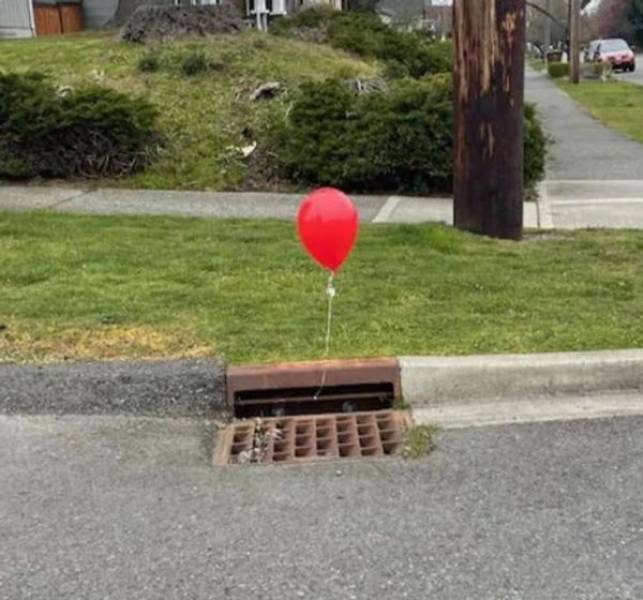 daily picdump 42 pics 1.html - 42 HD Photos | Premium Gallery 2026