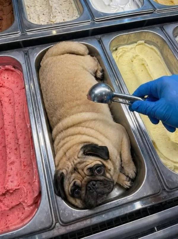 daily picdump 42 pics 1.html - 42 HD Photos | Premium Gallery 2026