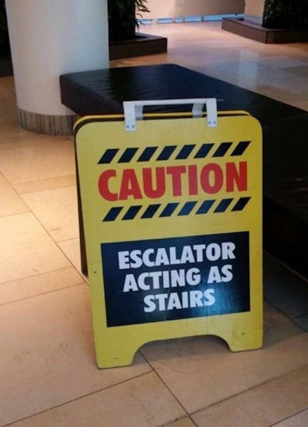 daily picdump 42 pics 1.html - 42 HD Photos | Premium Gallery 2026