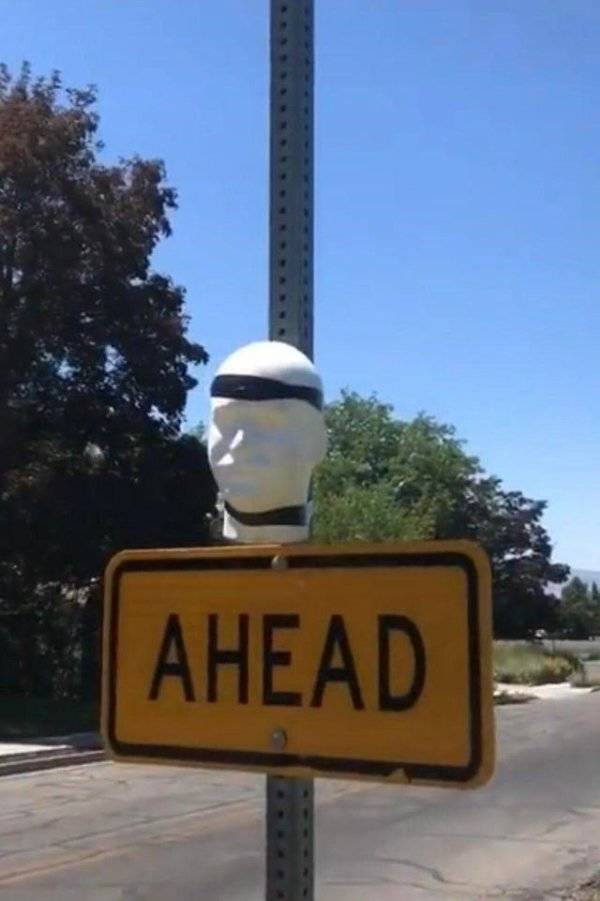 daily picdump 42 pics 1.html - 42 HD Photos | Premium Gallery 2026