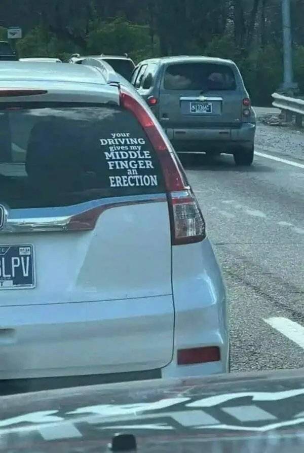 daily picdump 42 pics 1.html - 42 HD Photos | Premium Gallery 2026
