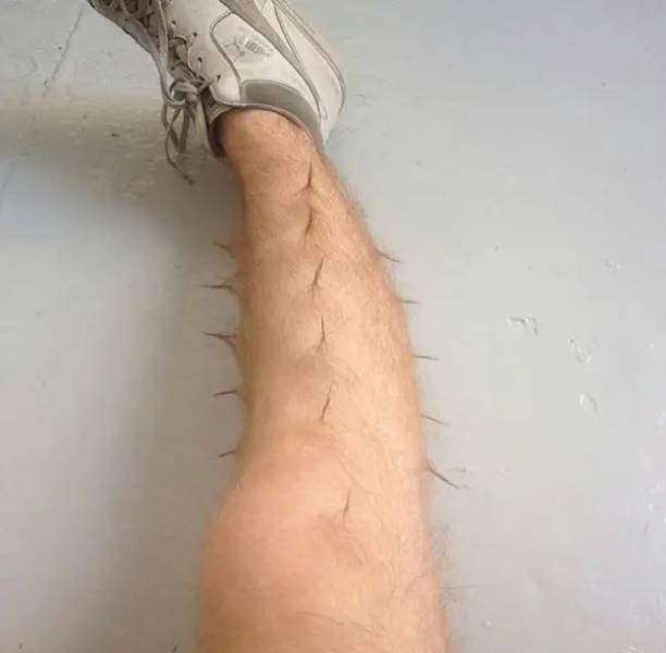 Daily Picdump