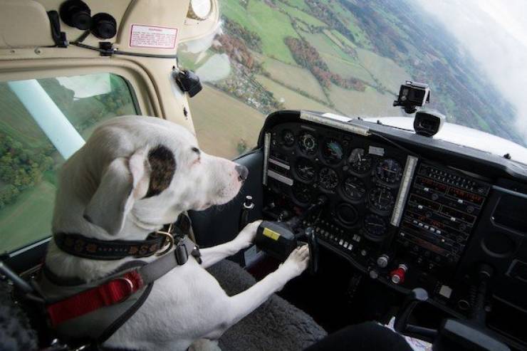 Daily Picdump