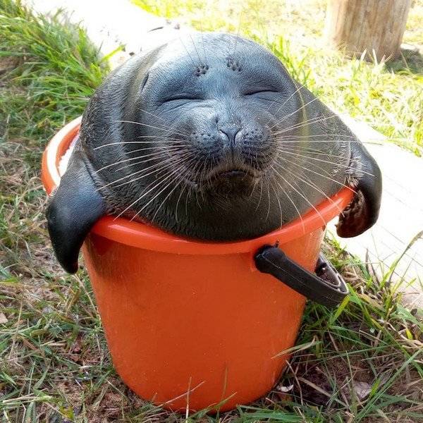 Daily Picdump