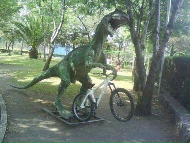 daily picdump 97 pics 31.html - 97 HD Photos | Premium Gallery 2017