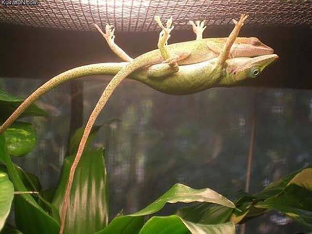 morning picdump 53 pics 18.html - 53 HD Photos | Premium Gallery 2017