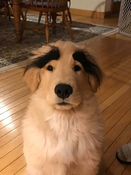 morning picdump 53 pics 18.html - 53 HD Photos | Premium Gallery 2017