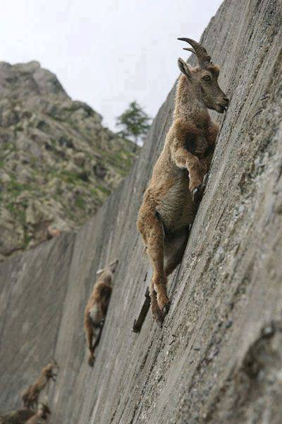 morning picdump 53 pics 18.html - 53 HD Photos | Premium Gallery 2017