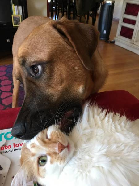 daily picdump 102 pics 2.html - 102 HD Photos | Premium Gallery 2017
