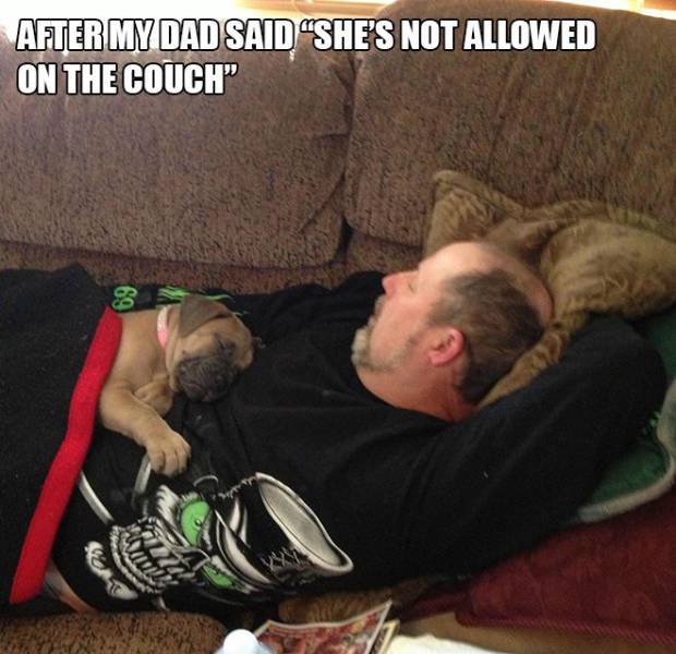 Daily Picdump