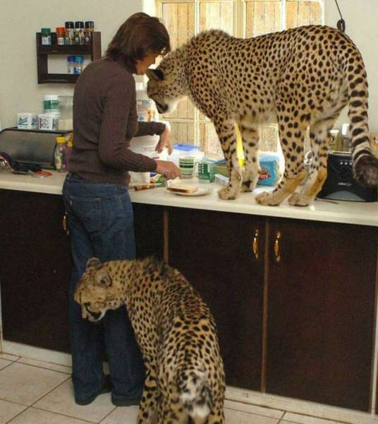 Daily Picdump
