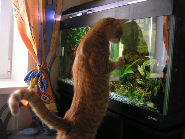 Daily Picdump