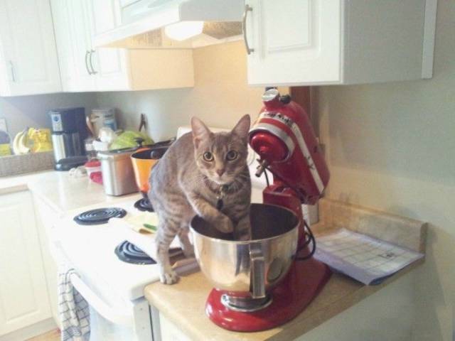 daily picdump 102 pics 13.html - 102 HD Photos | Premium Gallery 2017