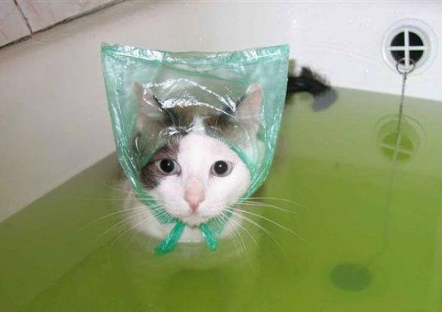 daily picdump 102 pics 13.html - 102 HD Photos | Premium Gallery 2017