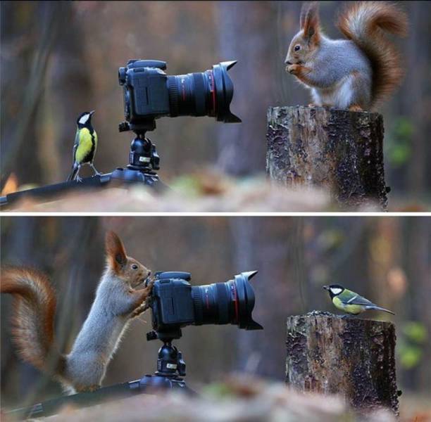 daily picdump 102 pics 13.html - 102 HD Photos | Premium Gallery 2017