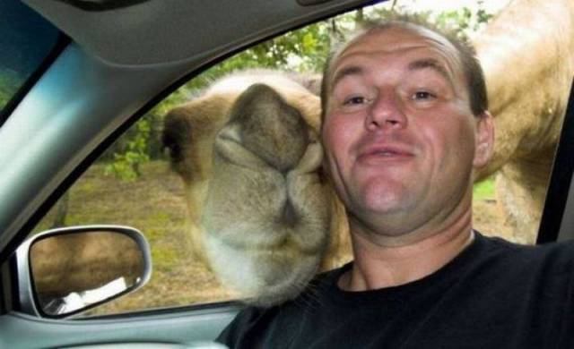 daily picdump 102 pics 13.html - 102 HD Photos | Premium Gallery 2017