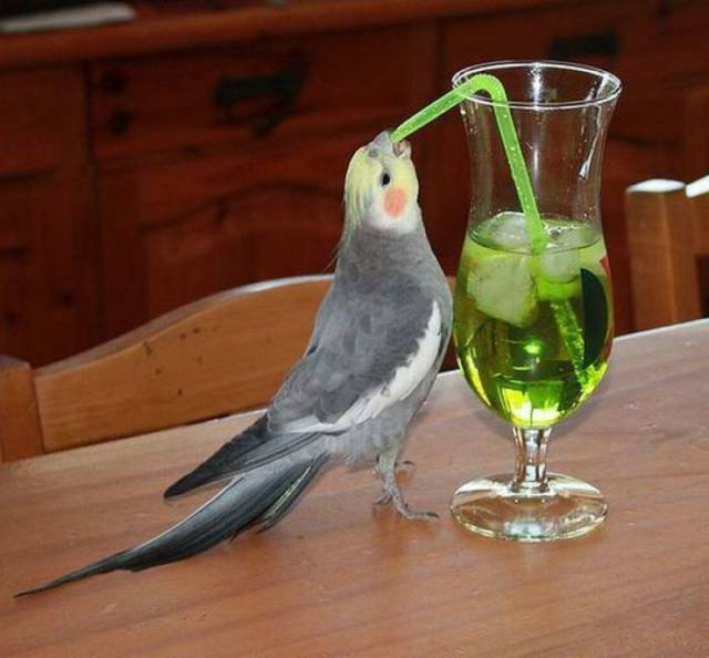 daily picdump 102 pics 13.html - 102 HD Photos | Premium Gallery 2017