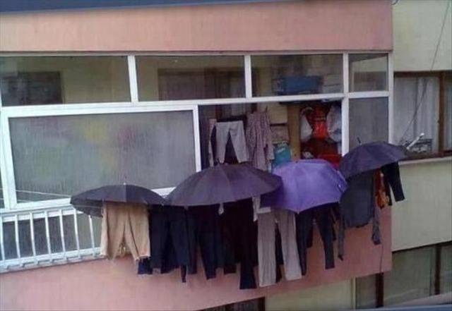 daily picdump 102 pics 13.html - 102 HD Photos | Premium Gallery 2017