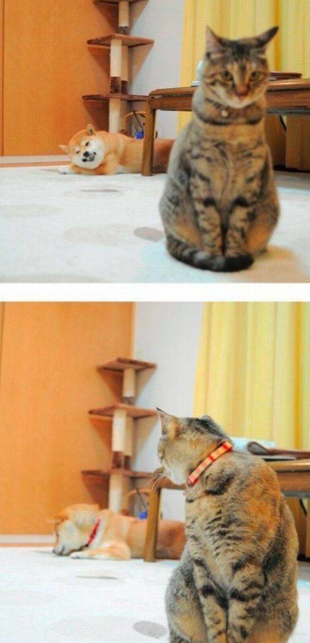daily picdump 102 pics 13.html - 102 HD Photos | Premium Gallery 2017