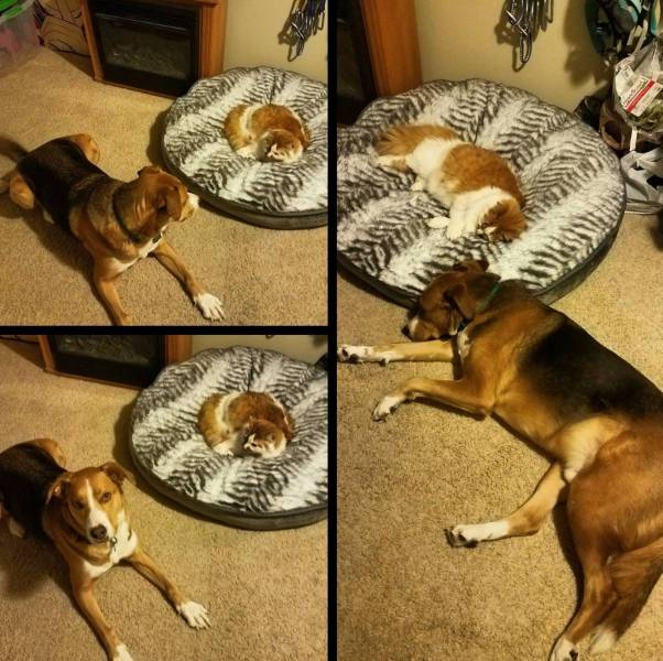 Daily Picdump