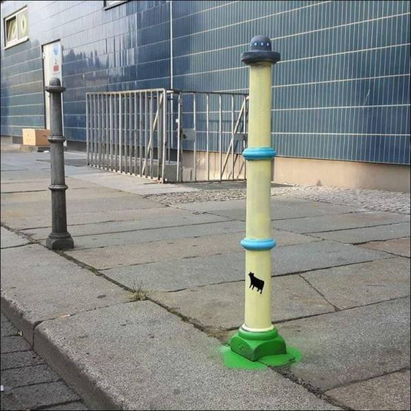 Daily Picdump