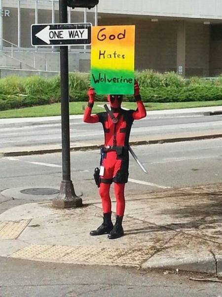 Daily Picdump