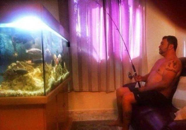 Daily Picdump