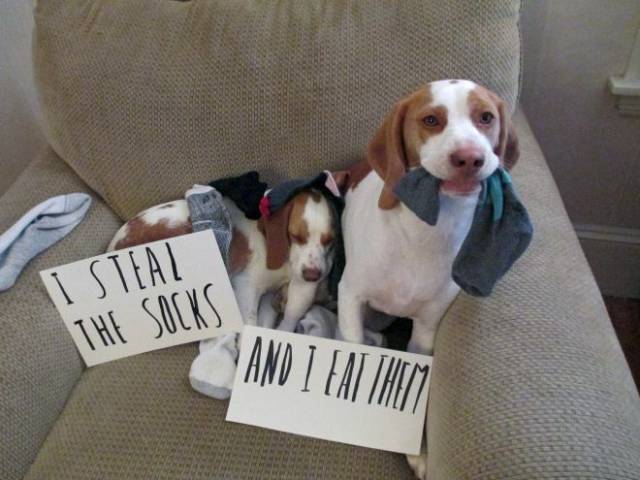 Daily Picdump