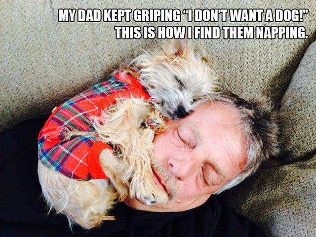 Daily Picdump