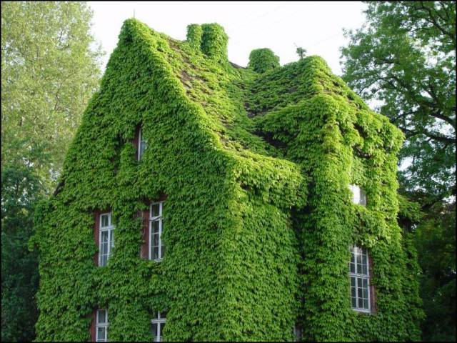 daily picdump 100 pics 5.html - 100 HD Photos | Premium Gallery 2017