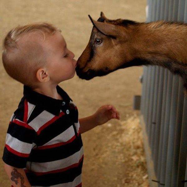 daily picdump 100 pics 5.html - 100 HD Photos | Premium Gallery 2017