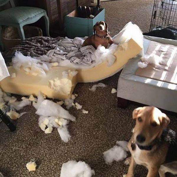 daily picdump 100 pics 5.html - 100 HD Photos | Premium Gallery 2017