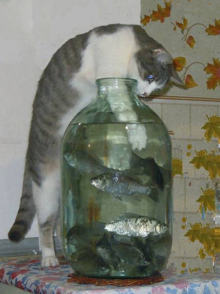 daily picdump 100 pics 5.html - 100 HD Photos | Premium Gallery 2017