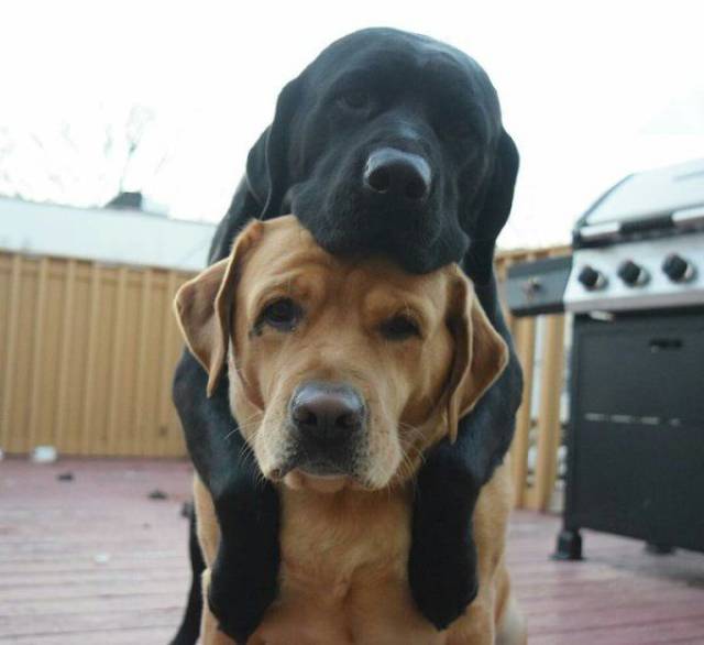 daily picdump 100 pics 5.html - 100 HD Photos | Premium Gallery 2017