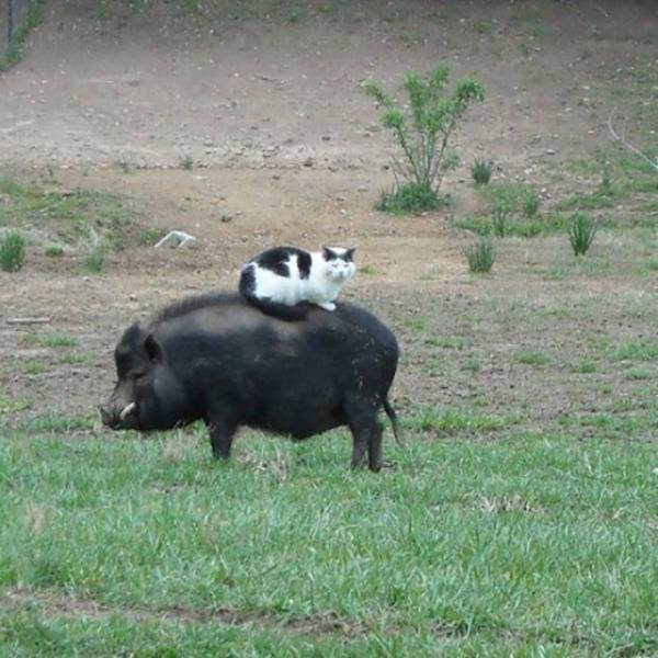 Daily Picdump [WEEKEND EDITION]