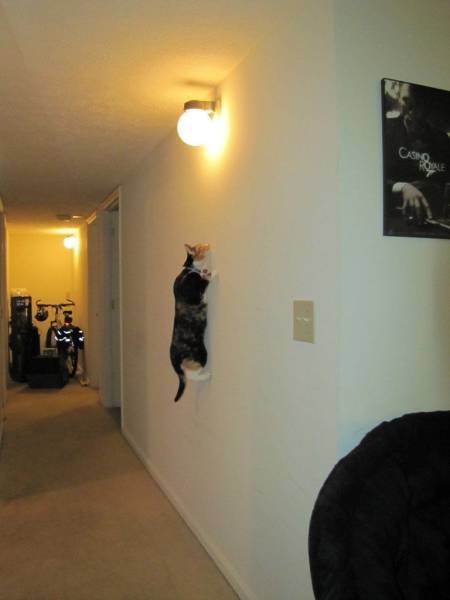 Daily Picdump