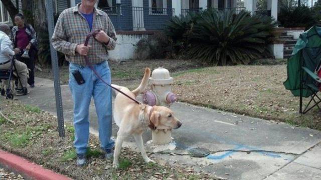 Daily Picdump