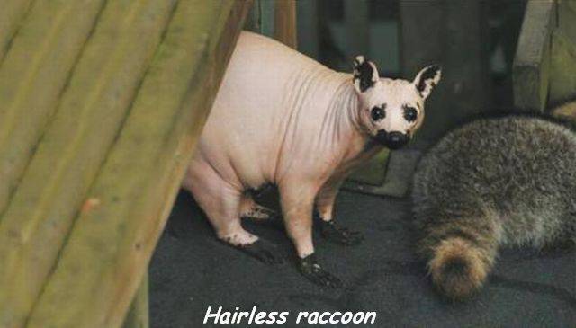 Daily Picdump
