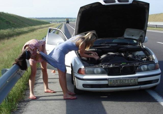 Daily Picdump