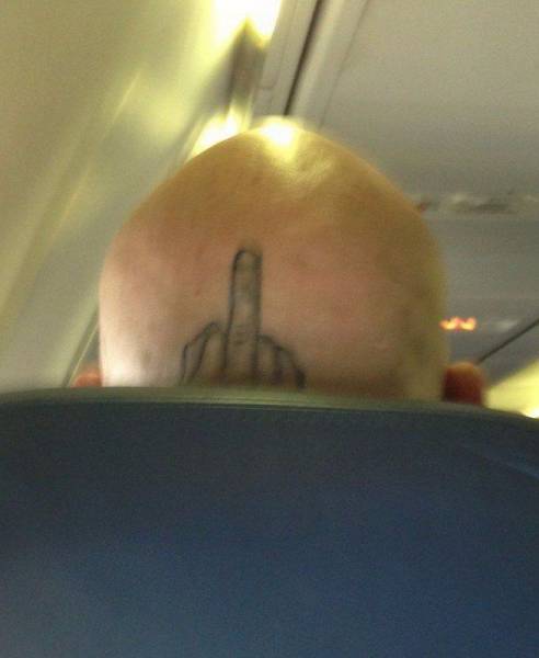 Daily Picdump