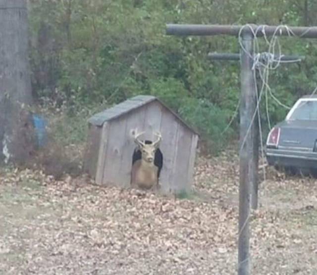 daily picdump 96 pics 31.html - 96 HD Photos | Premium Gallery 2017